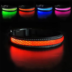 Colliers de chat laisse MASBRILL LED collier de chien lumineux produits pour animaux de compagnie sécurité élégant clignotant collier lumineux étanche accessoires réfléchissants 231010