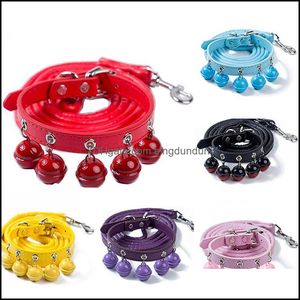 Colliers de chat conduit nouveau mignon couleur unie cloche collier bijoux Teddy animal de compagnie laisse ensemble livraison directe maison jardin fournitures Dhoas