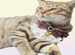 Cat -kragen leidt Pet Dog Harness Lease 2 Sets Bow Lace Collar Flower Walking Rope Chain voor Small Medium Suit 2894055