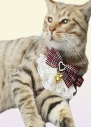Cat -kragen leidt Pet Dog Harness Lease 2 Sets Bow Lace Collar Flower Walking Rope Chain voor Small Medium Suit1801316