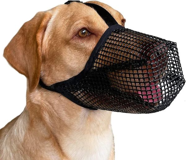 Colliers de chat mène les muselières de chien de compagnie réglable couverture de bouche respirante Anti-aboiement morsure maille chiens masque de museau pour une utilisation longue de chien 231017