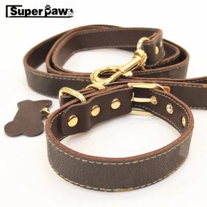 Colliers de chat laisses pour animaux de compagnie mode cuir noeud papillon collier laisse ensemble pour petits moyens grands chiens chiots en plein air chien chat principaux accessoires AML22 231009