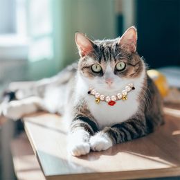 Cat -kragen leidt Pet Star Necklace Hondenhals Neur Ornament Bell Collar Pearl Cats Goods Accessoires