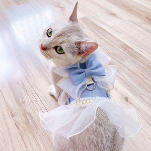 Colliers de chat Conduit Fil Fée Bowknot Laisse Vêtements Réglable Kitty Chien Harnais Sangle De Poitrine Robe Nylon Pet Ceinture De Sécurité Accessoires 230227