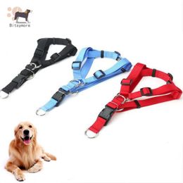 Colliers de chat harnais de chien en nylon personnalisé sans traction réglable pour les petits et moyens chiens gilet marche laisse laisse laisse