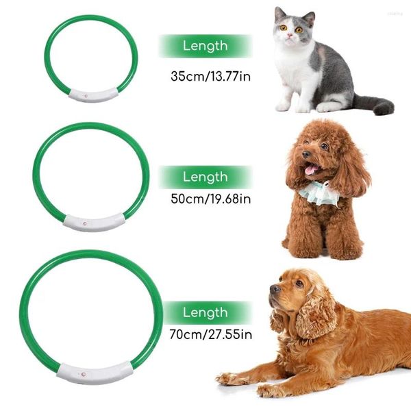 Collares para gatos Collar para mascotas Perro al aire libre Prevención de pérdidas Collar de luz luminosa Recargable USB LED