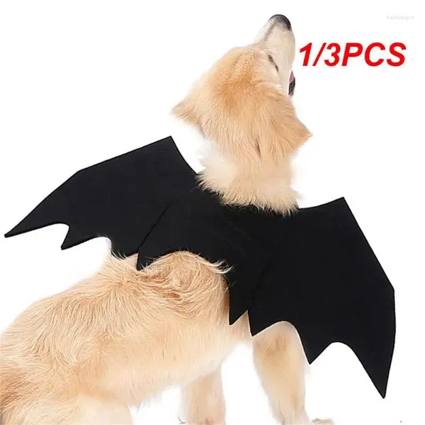 Costumes de chat 1/3 pièces, aile de chauve-souris pour chien, accessoire de Cosplay, déguisement d'halloween, tenue Po, couvre-chef