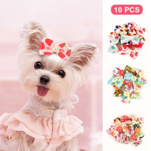 Disfraces de gatos 10pcslot Dog Hair Bows Lindo Kitten Clips Pet Fruit Flower Print Banda de goma Accesorios de aseo 230825