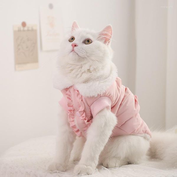 Costumes de chat 1pcs manteau de coton anti-enlèvement polyester laine de coton mode belle douce respirante vêtements chauds maison fournitures pour animaux de compagnie CW