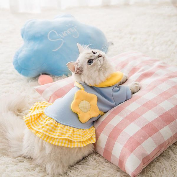 Costumes de chat 3D sac à dos mignon pull jupe automne mince bleu marionnette et hiver vêtements pour animaux de compagnie vêtements chats