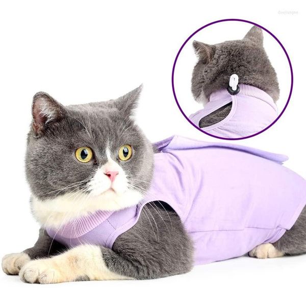 Disfraces para gatos Traje de recuperación profesional para heridas abdominales o enfermedades de la piel, transpirable, después del uso, venta al por mayor, 9 Uds.