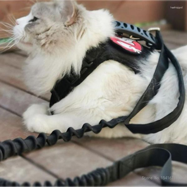 Costumes pour chats, gilet Anti-perte pour chats, laisse respirante pour animaux de compagnie, mode Alternative de plus de 3 mois