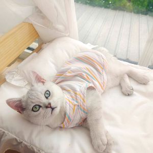 Cat Costumes Apparel Kitten Kleding Pet Supplies zomerjurk voor katten schattig comfortabele chique kleding kleding jurken items Cat Products Home 220908