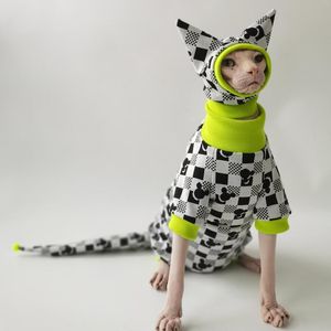 Costumes de chat Pull sans cheveux sans poils de chats Devon Rex Belly ￠ quatre pattes