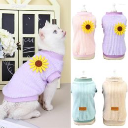 Costumes de chat automne hiver Sphynx vêtements coréen pull pour animaux de compagnie pour chats Gotas Katten Kedi pulls chien à capuche mascottes Costume vêtements