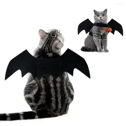 Costumes de chat Costumes Bat Aile accessoires faciles à porter des matériaux de haute qualité confortables doivent avoir un animal de compagnie Halloween Black Fun the Bell