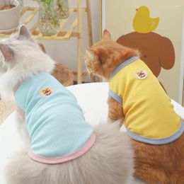 Costumes de chat, vêtements imprimés d'ours, gilets de chaton respirants en Polyester mignon, T-Shirt doux pour chiot pour chats et chiens