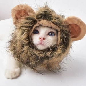 Costumes de noël interactifs pour chats, fournitures amusantes pour animaux de compagnie, casquette pour chien mignon, Costume de Cosplay, perruque à crinière de Lion