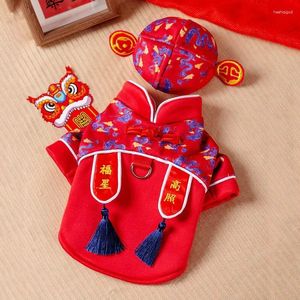 Trajes de gato gatos filhote de cachorro ano chinês tang terno com chapéu estilo dragão roupas bons desejos palavras para cães