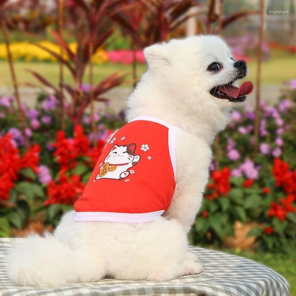 Disfraces de gato Chihuahua cachorro ropa de verano chalecos de animales de dibujos animados para gatitos arnés de perro sin mangas Mini abrigo suministros para mascotas Sphynx