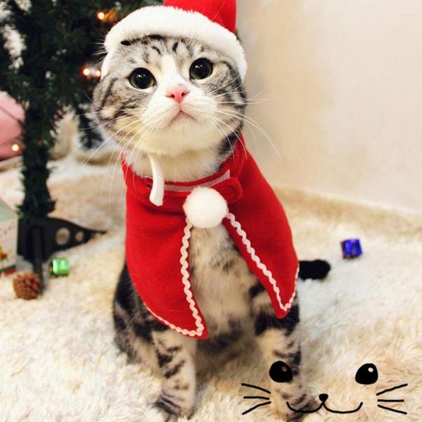 Costumes de chat Costume de noël Santa Cosplay vêtements drôles cape accessoires de déguisement accessoires pour animaux de compagnie