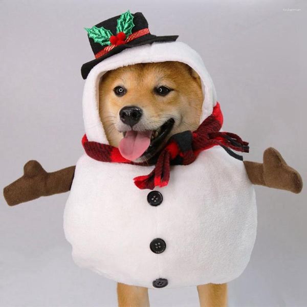 Disfraces de gato Navidad perro vestido elegante ropa mascota muñeco de nieve para perros pequeños medianos año abrigo ropa chihuahua