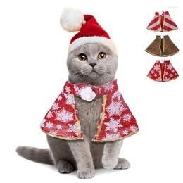 Costumi per gatti natalizi per animali domestici cappello da pet e cani da mantello gatti vestito con mantello con
