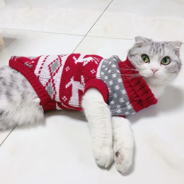 Costumes de chat pull de Noël hiver chaud Costume pour animaux de compagnie pour s Kedi katten Sphynx Vêtements Mascotas Vêtements Chien Animaux ropa de gato 220920