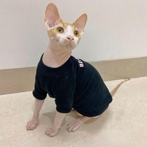 Costumes de chat vêtements pour Sphynx coton automne pull chaud bébé doux hiver chiot chaton sans poils Devon Rex vêtements