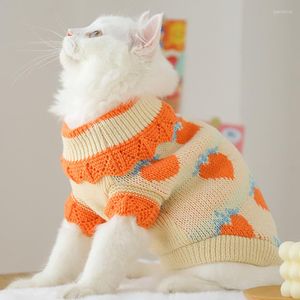 Costumes de chat vêtements chaton prévention de la perte de cheveux mignon doux animal de compagnie marionnette hiver pull fournitures accessoires