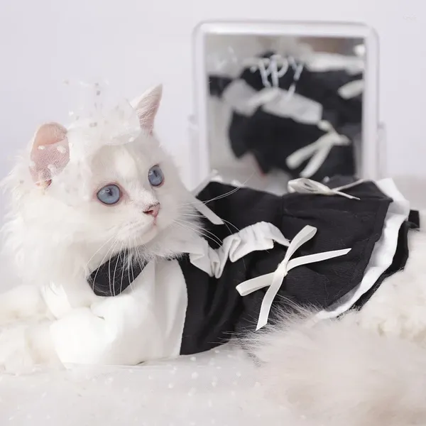 Disfraces de gato Ropa Gatito Falda de dos colores Degradado plateado Anti-pelo Abrigo de otoño Mascota Verano Lindo vestido de princesa Perro Disfraz de dos patas