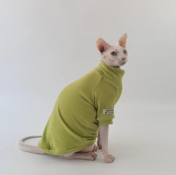 Costumes de chat vêtements couleur unie Base en cachemire T-shirt Sphinx sans poils coton allemand haute élastique