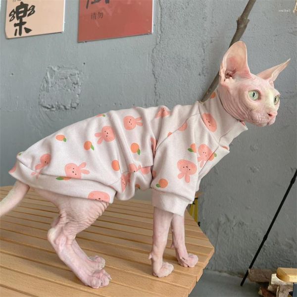 Costumes de chat vêtements Sphynx mode chaud doux coton manteau pour sans poils col haut bas à manches longues sweat Devon Rex