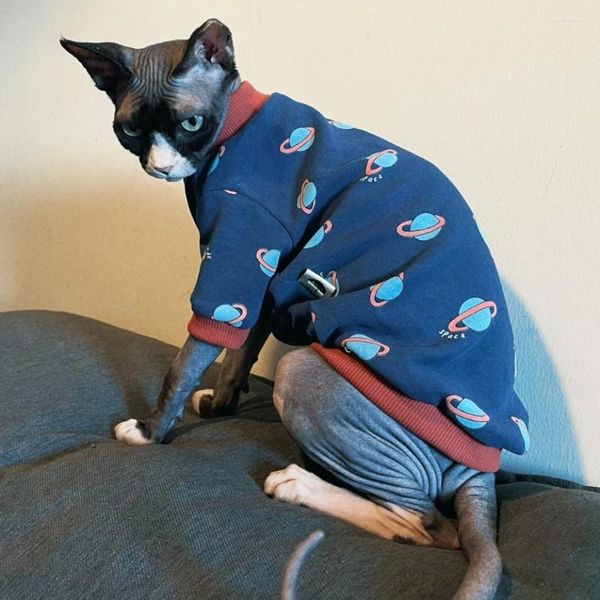 Disfraces de gato Ropa para gatos Sudadera de algodón de primavera Abrigo de manga larga Sphynx Moda Camiseta gruesa azul espacial Gatitos en verano