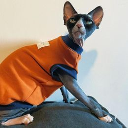 Kattenkostuums Kleding voor katten Lente Devon Rex Katoenen sweatshirt Korte mouwen Jas Sphynx Mode Oranje T-shirt Kittens in de zomer