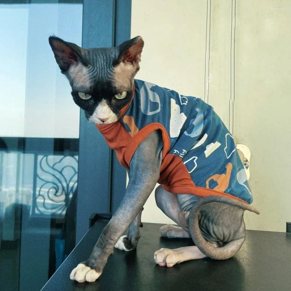 Costumes de chat vêtements printemps été chemise en coton pour Sphynx mode bleu manches courtes manteau chats chiens dessin animé combinaison Devon Rex