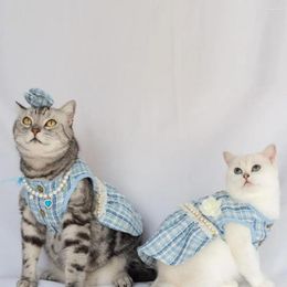 Costumes de chat, vêtements confortables pour animaux de compagnie, robe mignonne avec nœud, coiffure florale, décor de fausses perles pour chiens, chats, vêtements de princesse pour chiots