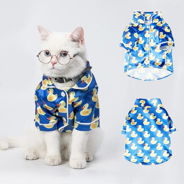 Disfraces de Gato, ropa de Cosplay para disfraz de perro, pijamas, artículos bonitos, gatitos divertidos, esfinge, productos de lujo, gafas, Disfraz Gato 2023