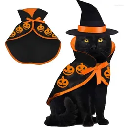 Katkostuums Cosplay kostuum voor kittens hondenkleding mantel vorm vleermuis patroon om Halloween -sfeer toe te voegen katten doggy