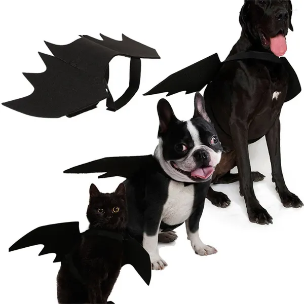 Costumes de chat, accessoires de Cosplay Po, vêtements noirs pour animaux de compagnie, décoration de la maison, couvre-chef aile de chauve-souris pour chien, tenue créative mignonne