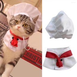 Disfraces de gatos Accesorios de cosplay Conjunto de sombrero de chef Accesorios suaves para mascotas Vestido de transformación de perro rey de cocina de poliéster