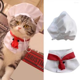 Costumes de chat, accessoires de Cosplay, ensemble de chapeaux de Chef, accessoires doux pour animaux de compagnie, robe de Transformation de chien roi de cuisine en Polyester