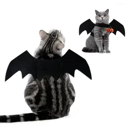 Cat Costumes Cosplay Props hoogwaardige materialen perfect voor Halloween Comfortabele High Demand Bat duurzame kledingkostuum