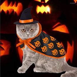 Cat Costumes Cosplay Pak voor kostuumkleding Disfraz Gato Fancy Dog Halloween Pet Cape Hat Set Kawaii Accessoties Hoofdkleding