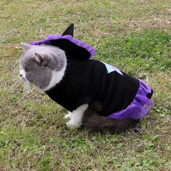 Costumes de chat Costume Cosplay chapeau de sorcier de sorcière 2 pièces vêtements pour animaux de compagnie pour petits chats chaton et chiens décorations de vacances drôles Halloween
