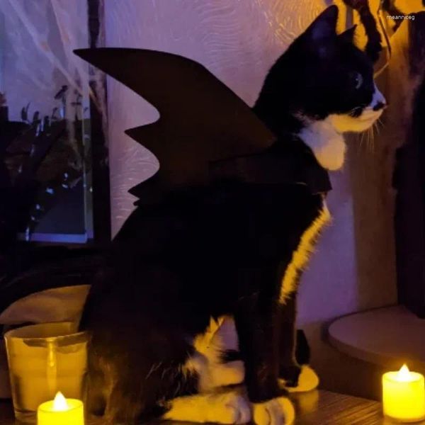 Disfraces de gatos Alas creativas para mascotas Bat, suministros de fiesta de Halloween, decoraciones colgantes, pegatinas de pared, escenas de adornos de adornos