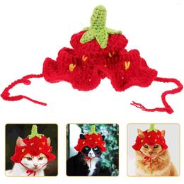 Costumes de chat Crochet chapeau d'anniversaire crochets drôle fraise chien Costume fil animal de compagnie Cosplay couvre-chef