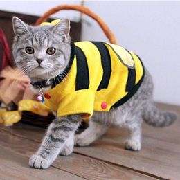 Trajes de gato roupas de cachorro bonito abelhas de estimação macio velo teddy poodle roupas produto suprimentos acessórios