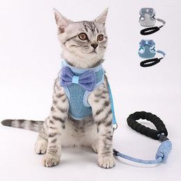 Disfraces para gatos, bonito conjunto de arnés y correa, chaleco de gatito con lazo de nailon, malla suave de plomo para caminar de 120cm para gatos cachorro ajustable