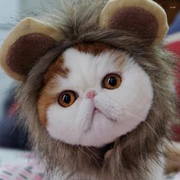 Costumes de chat, chapeau de crinière de Lion mignon pour chiens et petits chiens, accessoires de décoration pour animaux de compagnie, fournitures de cheveux fantaisie